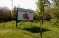 zöldségpiac sándor_7